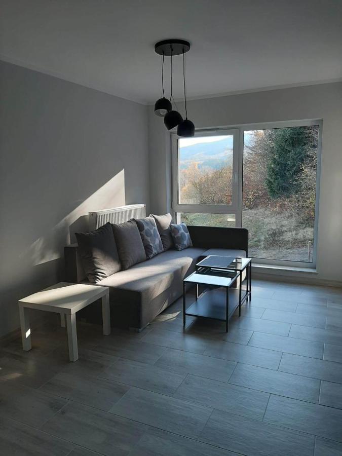 Apartament Lilu Szklarska Poreba Bagian luar foto